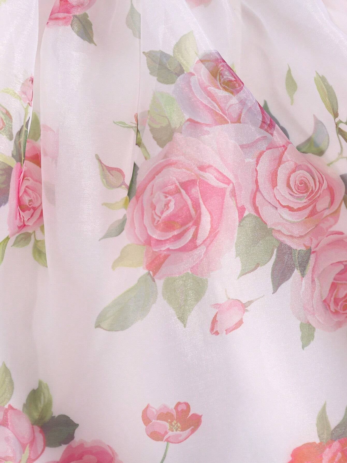 Baby Girls' Rose Printed Organza Bubble Sleeve Dress