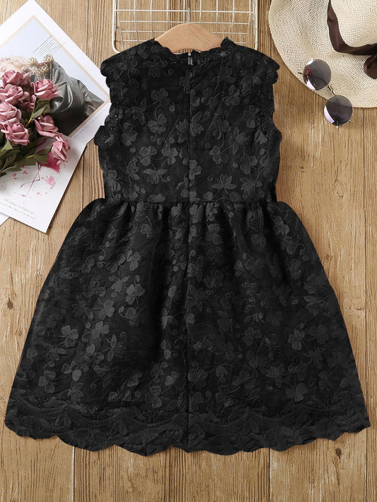 SHEIN Kids CHARMNG Toddler Girls Zip Back Sleeveless Lace Dress