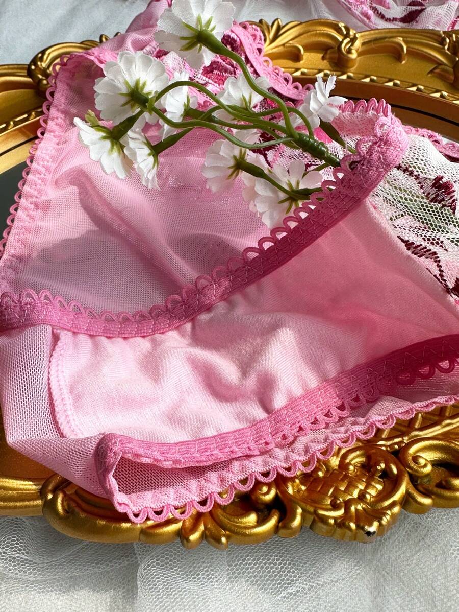 SHEIN طقم لانجري دانتيل شفاف مطرز بلمسة رومانسية (قطعتان)