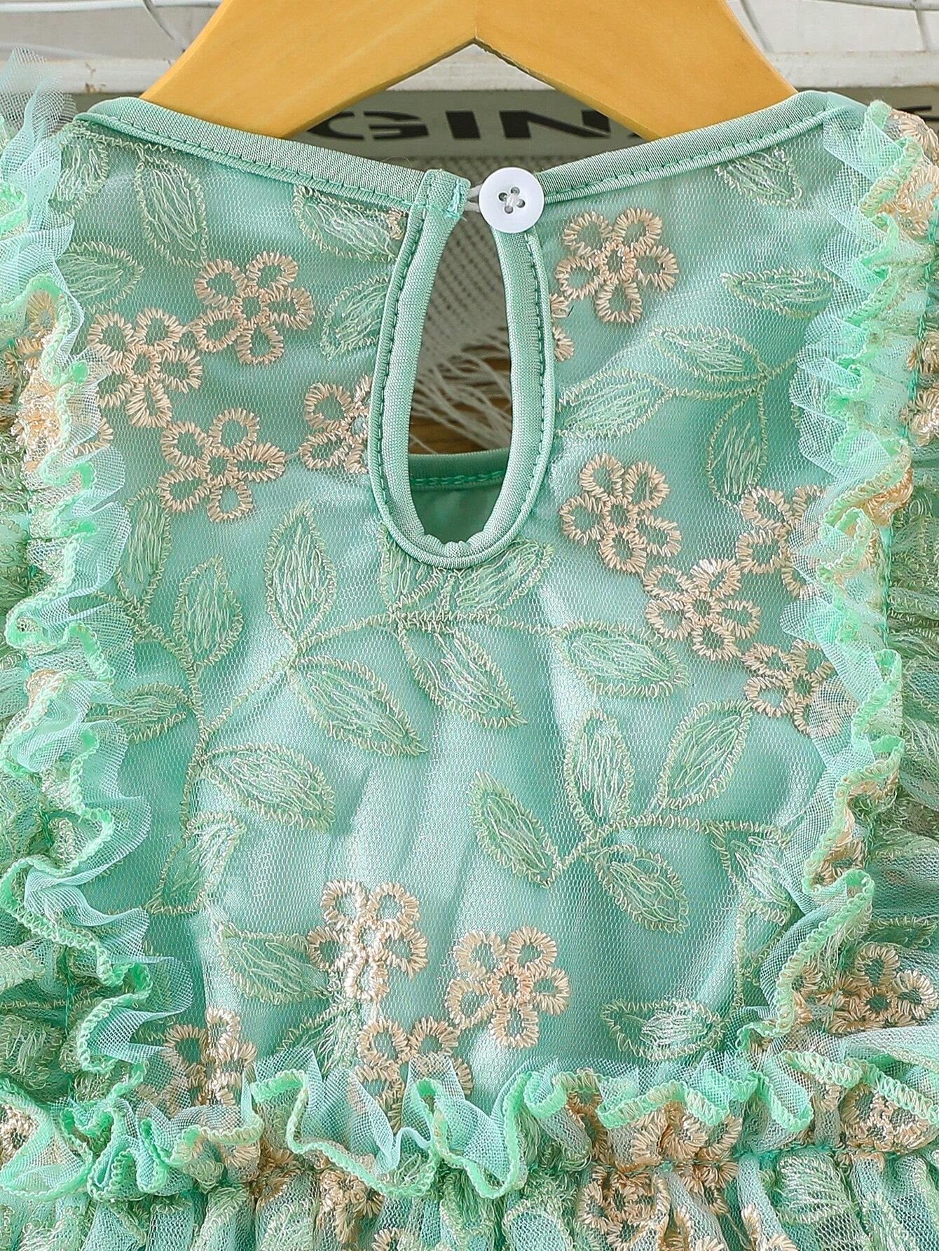 Young Girl Gorgeous Embroidered Dress