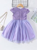 Young Girl Gorgeous Butterfly Bow Decoration Patchwork Lace Tulle Dress