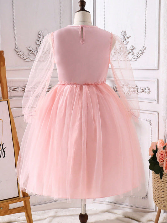 Tween Girl Floral Applique Mesh Puffy Dress