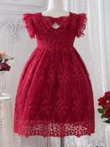 SHEIN Kids CHARMNG Young Girl Bow Front Lace Overlay Dress